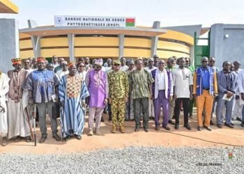 CONSERVATION DES SEMENCES : UNE BANQUE NATIONALE DE GÈNES POUR SAUVEGARDER LES CÉRÉALES SUR QUATRE DÉCENNIES À OUAGADOUGOU