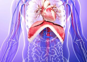 COOPÉRATION SANITAIRE : WASHINGTON ET ABUJA CONCLUENT UN NOUVEL ACCORD DE SOUTIEN