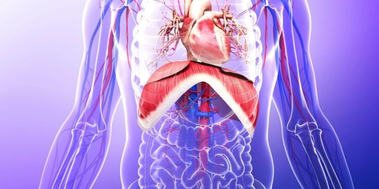 COOPÉRATION SANITAIRE : WASHINGTON ET ABUJA CONCLUENT UN NOUVEL ACCORD DE SOUTIEN