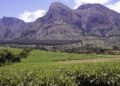 MALAWI : LE MONT MULANJE REJOINT LA LISTE DU PATRIMOINE MONDIAL DE L’UNESCO