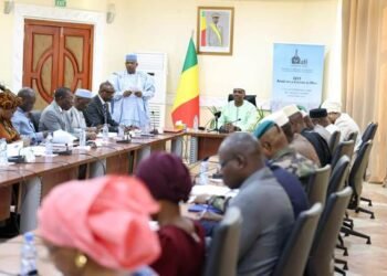 DEUXIEME SESSION DU COLLEGE DES CHEFS D’ÉTAT : LE COMITÉ DE PILOTAGE DU COMITÉ NATIONAL EN REUNION