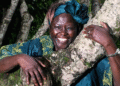 WANGARI MAATHAI : LA FEMME QUI A REVERDI L’AFRIQUE
