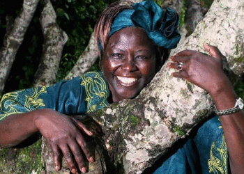 WANGARI MAATHAI : LA FEMME QUI A REVERDI L’AFRIQUE