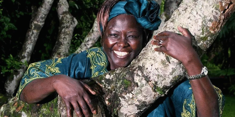 WANGARI MAATHAI : LA FEMME QUI A REVERDI L’AFRIQUE