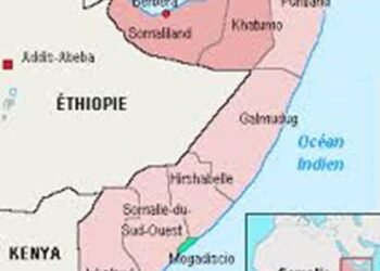 DES SOMALIENS INDIGNÉS APRÈS UNE SÉRIE DE DÉCLARATIONS DE DONALD TRUMP