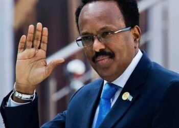 LA SOMALIE MET FIN À TOUS SES ACCORDS AVEC LES ÉMIRATS ARABES UNIS