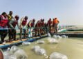 PISCICULTURE : DES MILITAIRES RETRAITÉS ENGAGÉS DANS UNE RECONVERSION DURABLE GRÂCE AUX CAGES FLOTTANTES