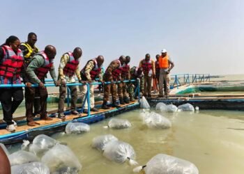 PISCICULTURE : DES MILITAIRES RETRAITÉS ENGAGÉS DANS UNE RECONVERSION DURABLE GRÂCE AUX CAGES FLOTTANTES