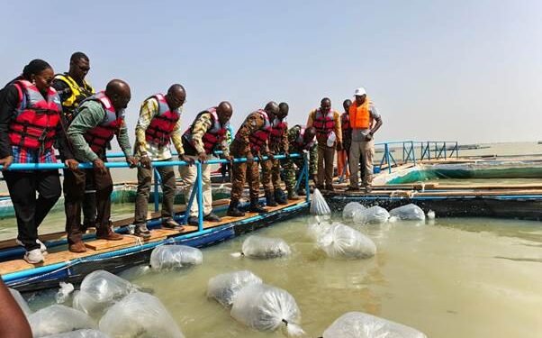 PISCICULTURE : DES MILITAIRES RETRAITÉS ENGAGÉS DANS UNE RECONVERSION DURABLE GRÂCE AUX CAGES FLOTTANTES