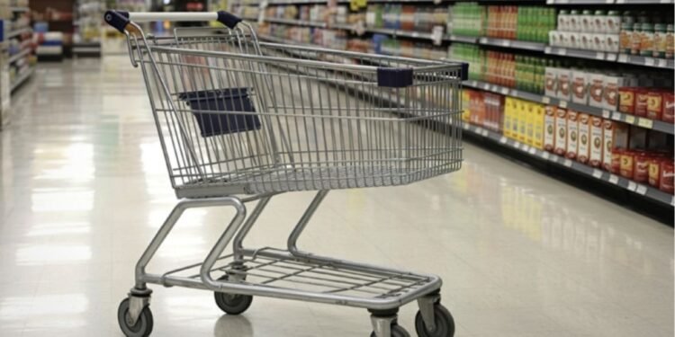 BURKINA FASO : LE COMMERCE DE DÉTAIL DÉSORMAIS ENCADRÉ AU PROFIT DES NATIONAUX