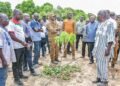 CAMPAGNE SECHE AU BURKINA : LE MINISTRE SOMBIÉ SALUE UN MODÈLE DE RÉUSSITE DANS LA FILIÈRE MANGUE