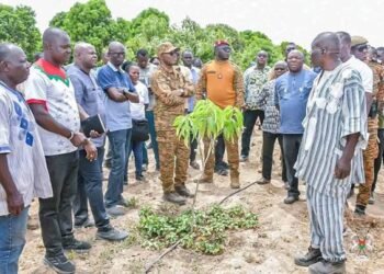 CAMPAGNE SECHE AU BURKINA : LE MINISTRE SOMBIÉ SALUE UN MODÈLE DE RÉUSSITE DANS LA FILIÈRE MANGUE