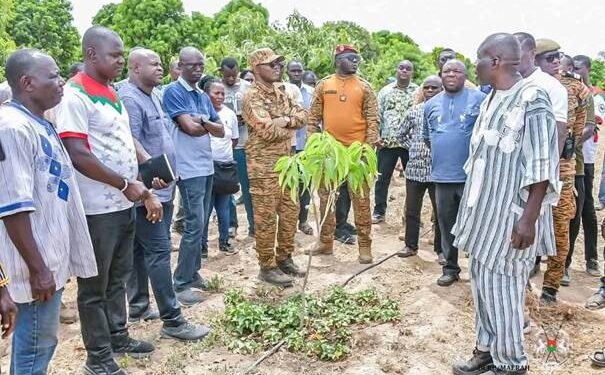 CAMPAGNE SECHE AU BURKINA : LE MINISTRE SOMBIÉ SALUE UN MODÈLE DE RÉUSSITE DANS LA FILIÈRE MANGUE