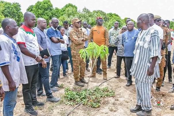 CAMPAGNE SECHE AU BURKINA : LE MINISTRE SOMBIÉ SALUE UN MODÈLE DE RÉUSSITE DANS LA FILIÈRE MANGUE