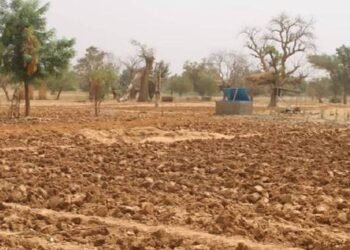 POEDOGO : UN PÉRIMÈTRE MARAÎCHER OFFERT AUX FEMMES DE LA COOPÉRATIVE NABONSWENDÉ