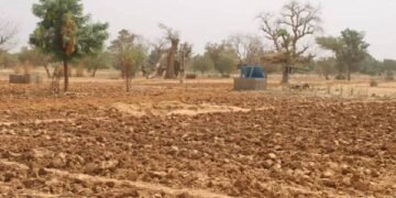 POEDOGO : UN PÉRIMÈTRE MARAÎCHER OFFERT AUX FEMMES DE LA COOPÉRATIVE NABONSWENDÉ