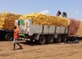 BURKINA FASO : COUPURE DU ROBINET DES IMPORTATIONS DE RIZ POUR SOUTENIR LA PRODUCTION LOCALE