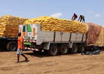 BURKINA FASO : COUPURE DU ROBINET DES IMPORTATIONS DE RIZ POUR SOUTENIR LA PRODUCTION LOCALE