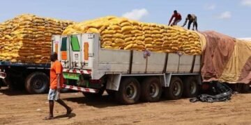 BURKINA FASO : COUPURE DU ROBINET DES IMPORTATIONS DE RIZ POUR SOUTENIR LA PRODUCTION LOCALE