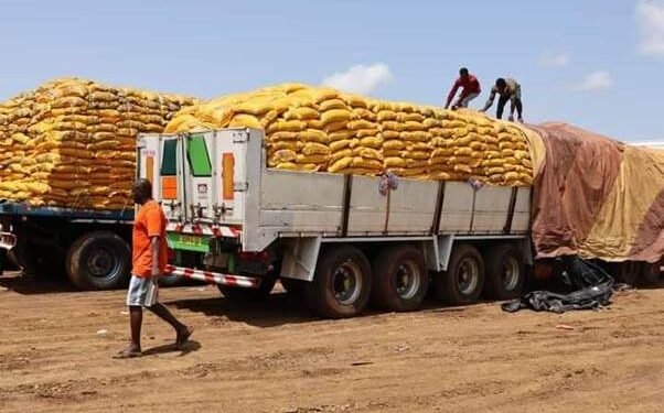 BURKINA FASO : COUPURE DU ROBINET DES IMPORTATIONS DE RIZ POUR SOUTENIR LA PRODUCTION LOCALE