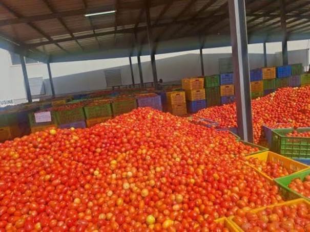 COMMERCE : LEVÉE DE LA SUSPENSION DES EXPORTATIONS DE TOMATES FRAÎCHES AU BURKINA FASO