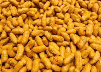 COUP DE FILET POUR  LES  DOUANES À BOBO-DIOULASSO : DES RÉSEAUX DE FRAUDE DANS LE VISEUR