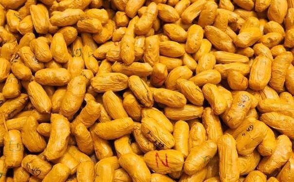 COUP DE FILET POUR  LES  DOUANES À BOBO-DIOULASSO : DES RÉSEAUX DE FRAUDE DANS LE VISEUR