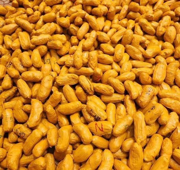 COUP DE FILET POUR  LES  DOUANES À BOBO-DIOULASSO : DES RÉSEAUX DE FRAUDE DANS LE VISEUR