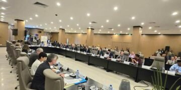 COOPERATION : LOMÉ LANCE UNE STRATÉGIE AXÉE SUR LE SAHEL