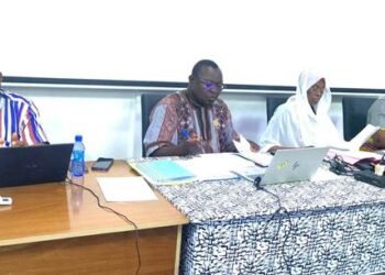 CODE DE LA PRESSE ET DE LA COMMUNICATION AUDIOVISUELLE : LE MINISTRE PINGDWENDÉ Gilbert OUEDRAOGO AUDITIONNÉ PAR LA CDD