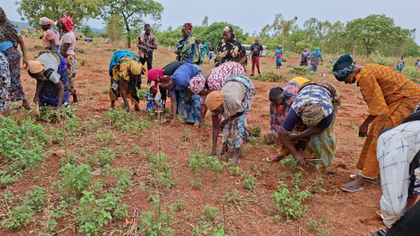GUIRIKO : AGRICULTURE ET LOGEMENTS SOCIAUX POUR SOUTENIR LES PERSONNES DÉPLACÉES