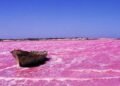LE LAC RETBA : LE TRÉSOR ROSE DU SÉNÉGAL QUI RACONTE UNE AUTRE AFRIQUE