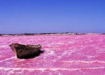 LE LAC RETBA : LE TRÉSOR ROSE DU SÉNÉGAL QUI RACONTE UNE AUTRE AFRIQUE