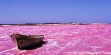 LE LAC RETBA : LE TRÉSOR ROSE DU SÉNÉGAL QUI RACONTE UNE AUTRE AFRIQUE