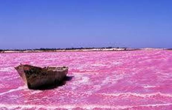 LE LAC RETBA : LE TRÉSOR ROSE DU SÉNÉGAL QUI RACONTE UNE AUTRE AFRIQUE