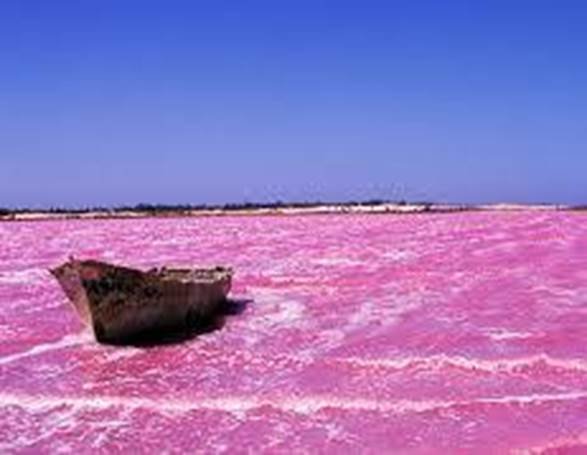 LE LAC RETBA : LE TRÉSOR ROSE DU SÉNÉGAL QUI RACONTE UNE AUTRE AFRIQUE