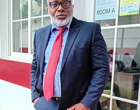 Analyse : Cameroun : Radiographie d&rsquo;un système politique et de l&rsquo;exil forcé d&rsquo;un capitaine d&rsquo;industrie