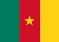 Gestion du Cameroun : un diagnostic gouvernemental qui inquiète
