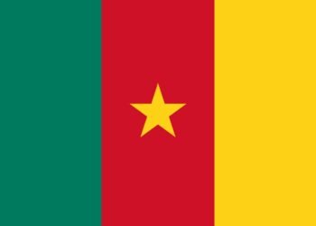 Gestion du Cameroun : un diagnostic gouvernemental qui inquiète