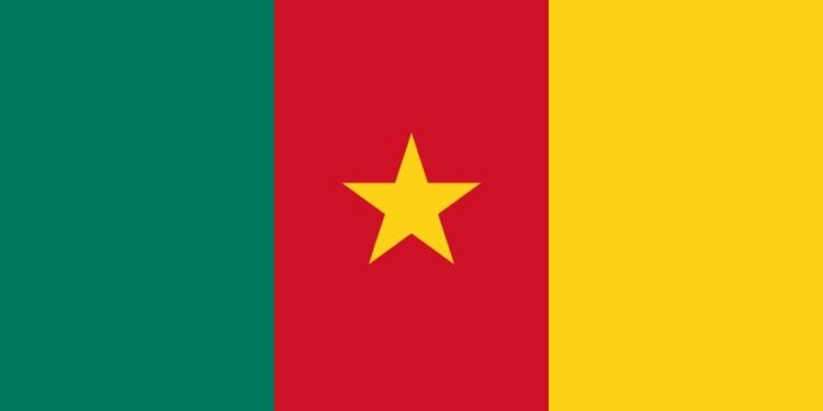 Gestion du Cameroun : un diagnostic gouvernemental qui inquiète