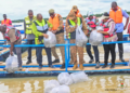PISCICULTURE À PÔ : Le pangasius fait son entrée dans les cages flottantes du barrage