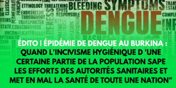 Édito | Épidémie de dengue au Burkina : quand l’incivisme hygiénique d’une certaine partie de la population sape les efforts des autorités sanitaires et met en mal la santé de toute une nation 